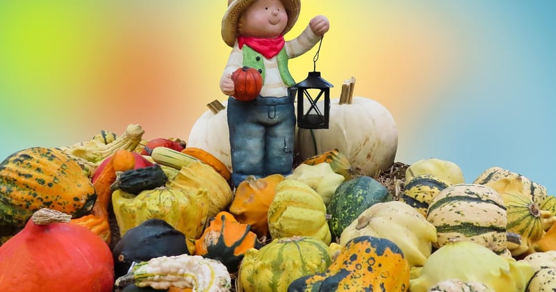 Aliments de saison et spiritualité de Gaia : renouer avec le vivant