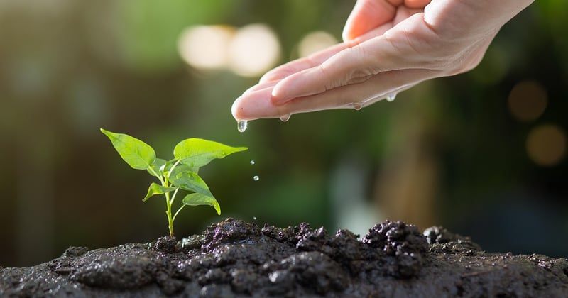 Gaia et écologie spirituelle : les nouveaux mouvements qui transforment notre lien au vivant
